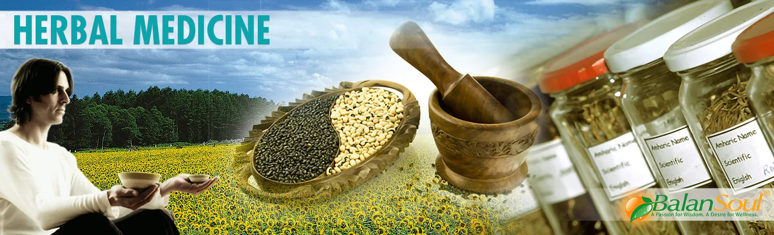 Herbal Medicine