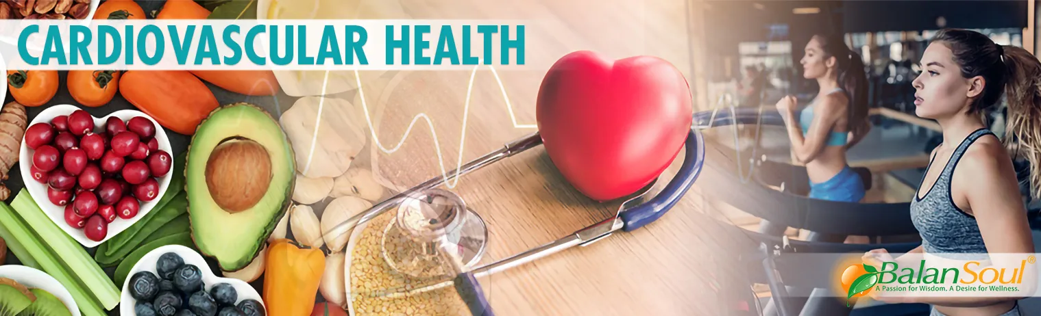 Balansoul cardiovascular health