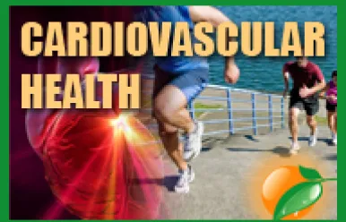 Cardiovascular Health