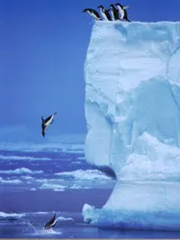 The only courage that matters is the kind that gets you from one moment to the next