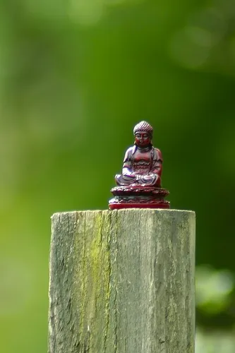 Let us rise up and be thankful