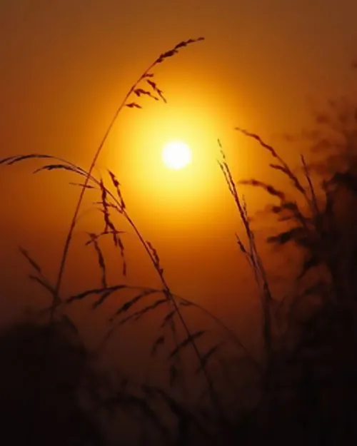 daybreak - every tomorrow a vision of hope