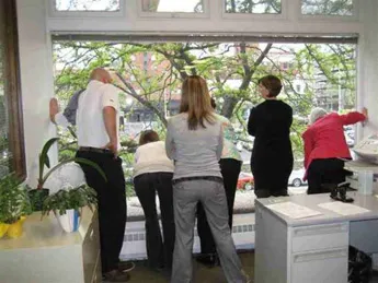 When Hearts Soar: A Duck's Inspirational Story