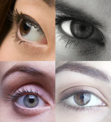 Eyes - When you rearrange the letters : THEY SEE