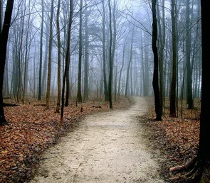 My Journey to Freedom By Laurie Glass