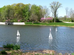 sailboats in the river