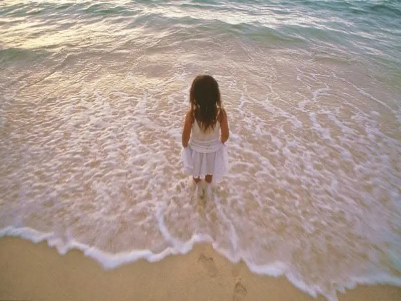 sandpipers come to bring us joy