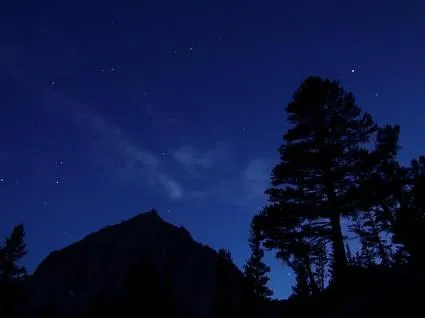 Courage and Hope Quotes