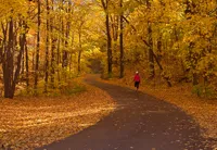 You must be the change you wish to see in the world