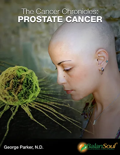 The Cancer Chronicles Prostate Cancer details