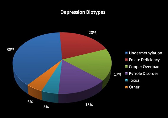 Depression Biotypes: Undermethylation 38%, Folate Deficiency 20%, Copper Overload 17%, Pyrrole Disorder 15%, Toxic Metals 5%, Other 5%